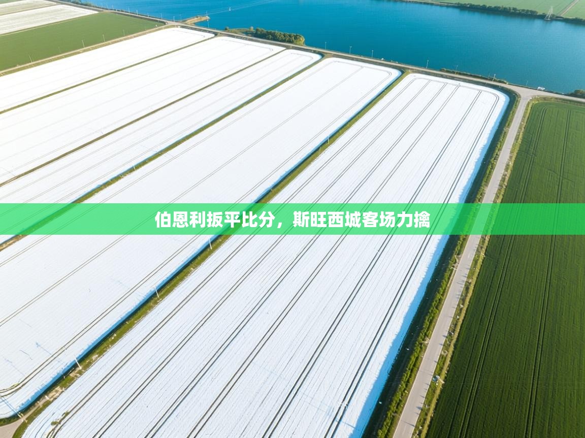 伯恩利扳平比分，斯旺西城客场力擒