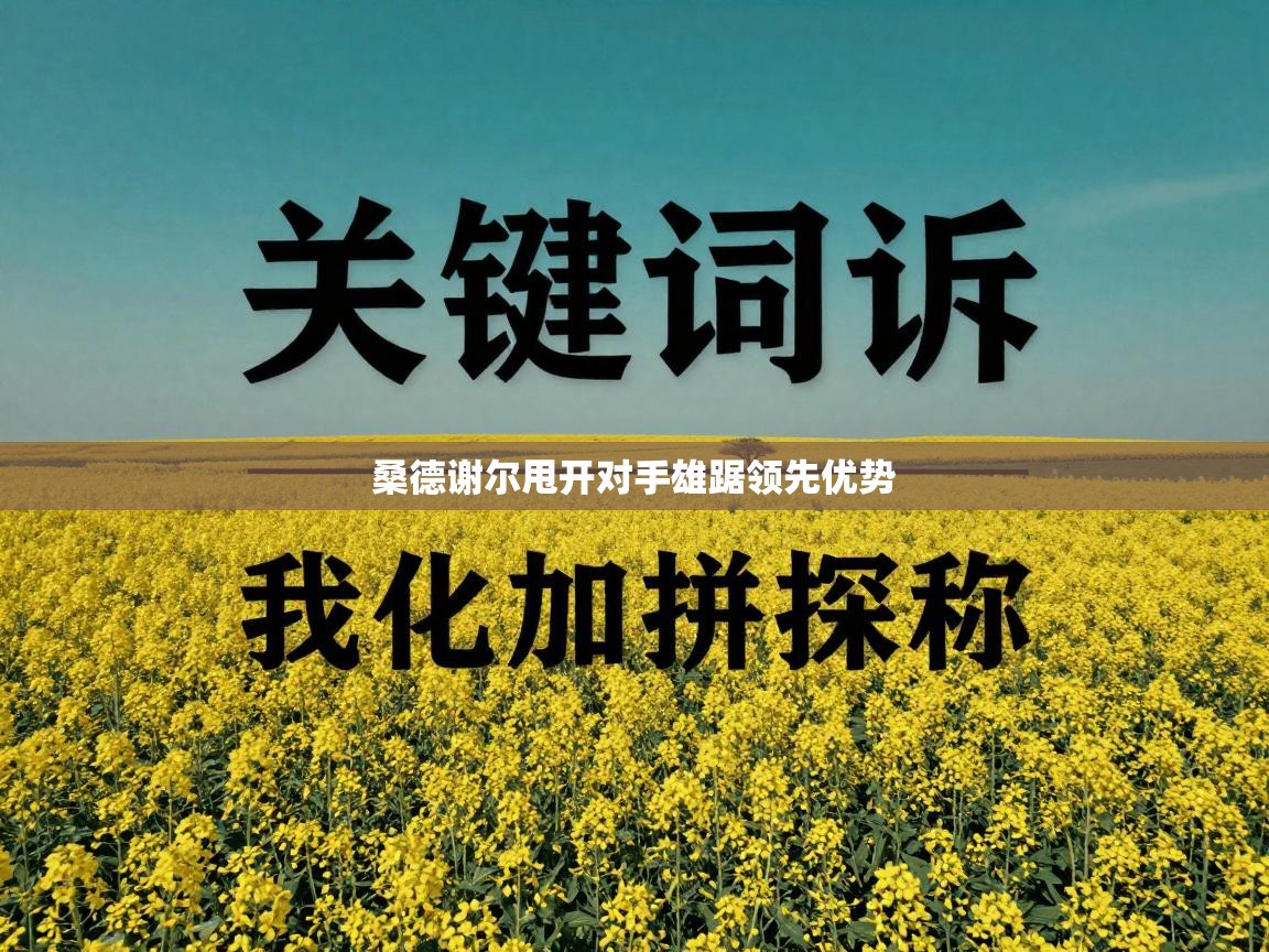 桑德谢尔甩开对手雄踞领先优势