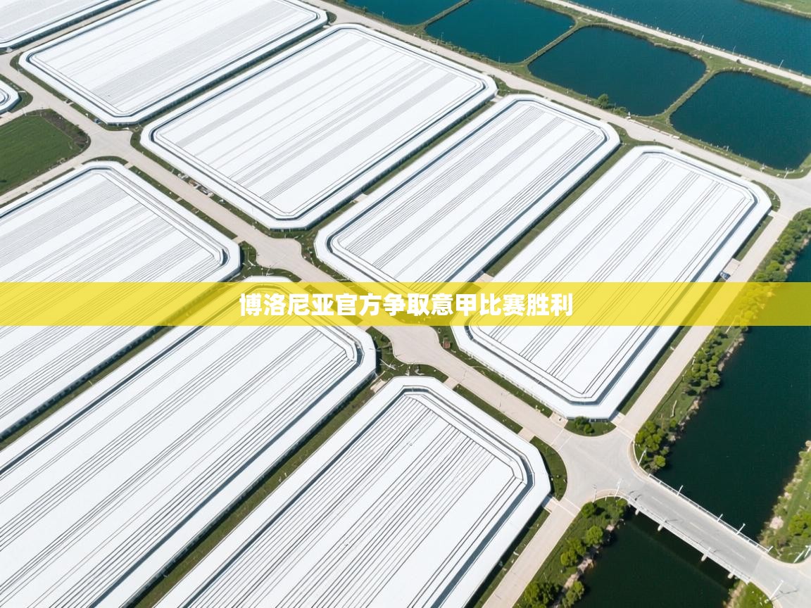 博洛尼亚官方争取意甲比赛胜利  第1张