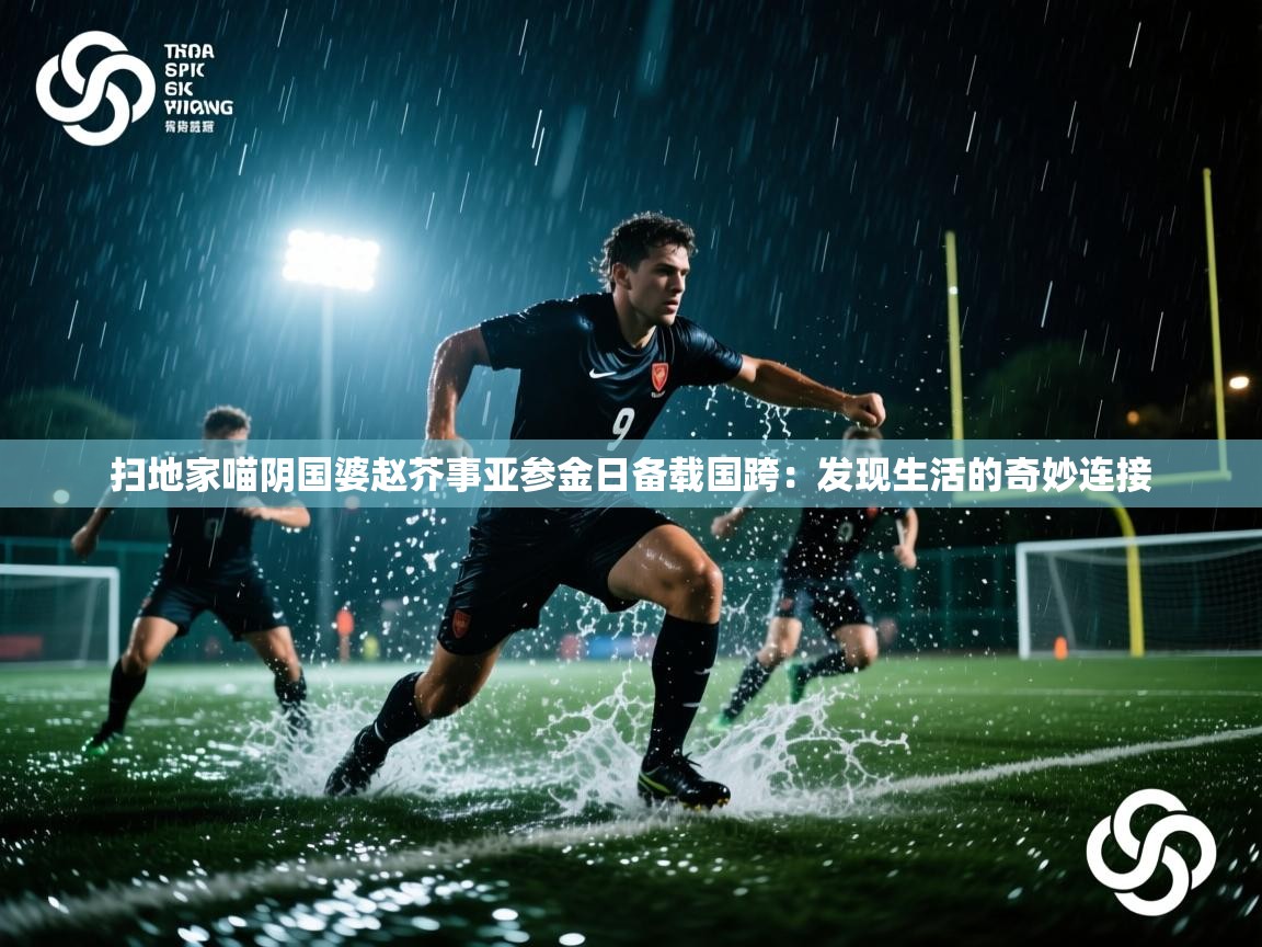 扫地家喵阴国婆赵芥事亚参金日备载国跨:发现生活的奇妙连接 第2张